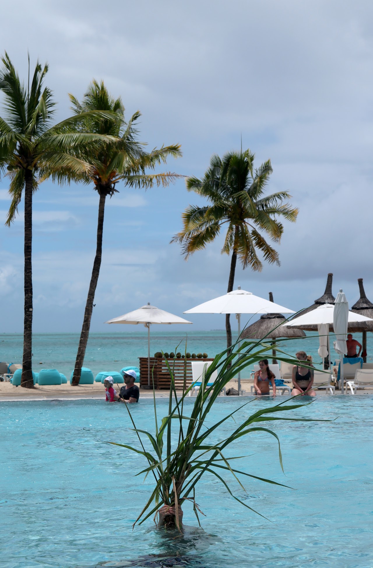 Laurent Lacotte, Performance, Maurice, Canne à sucre, Resort