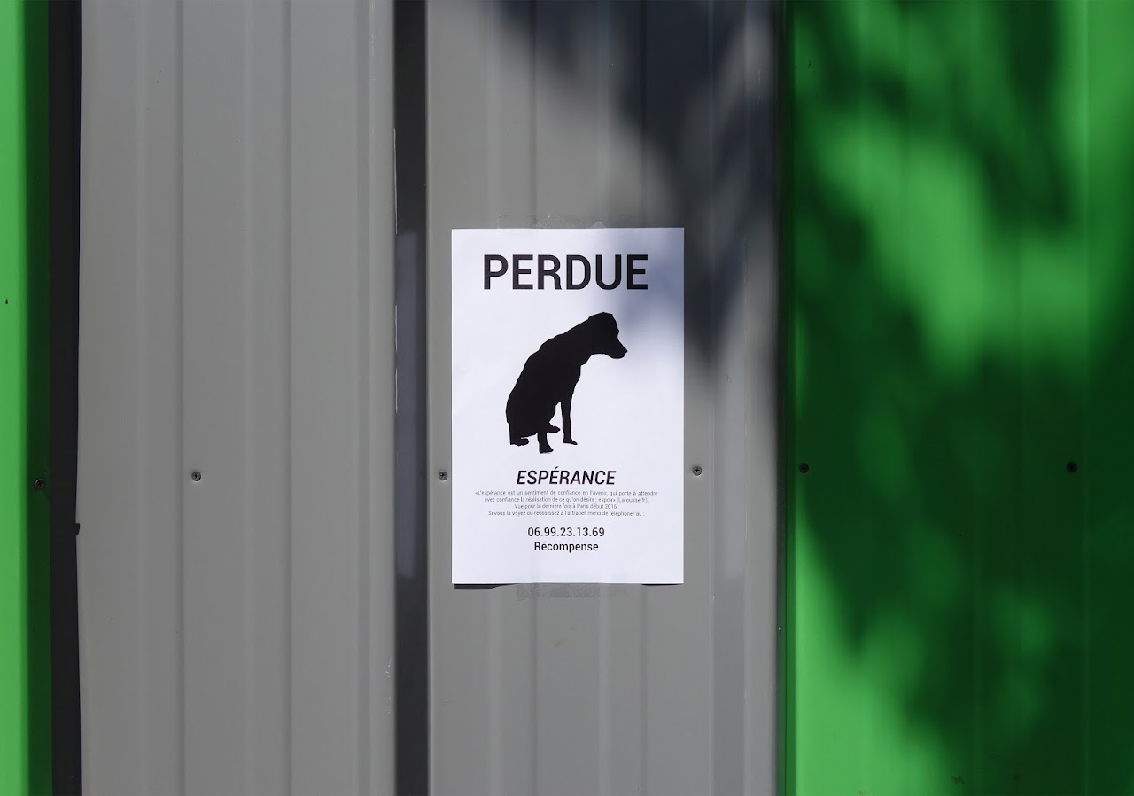 Laurent Lacotte, Perdue Espérance, Affiche, Chien perdue, Récolte, Poésie